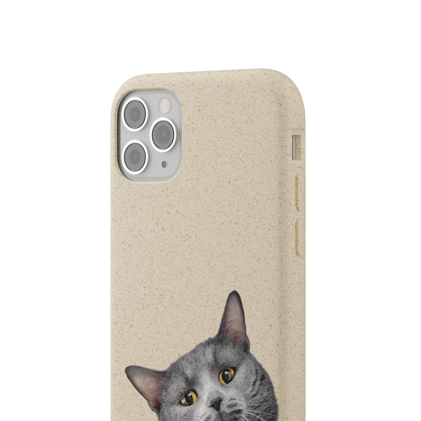 Biodegradable Cat Lover Phone Case – Eco-Friendly, Wireless Charging, Plant-Based Materials | Multiple Sizes Available