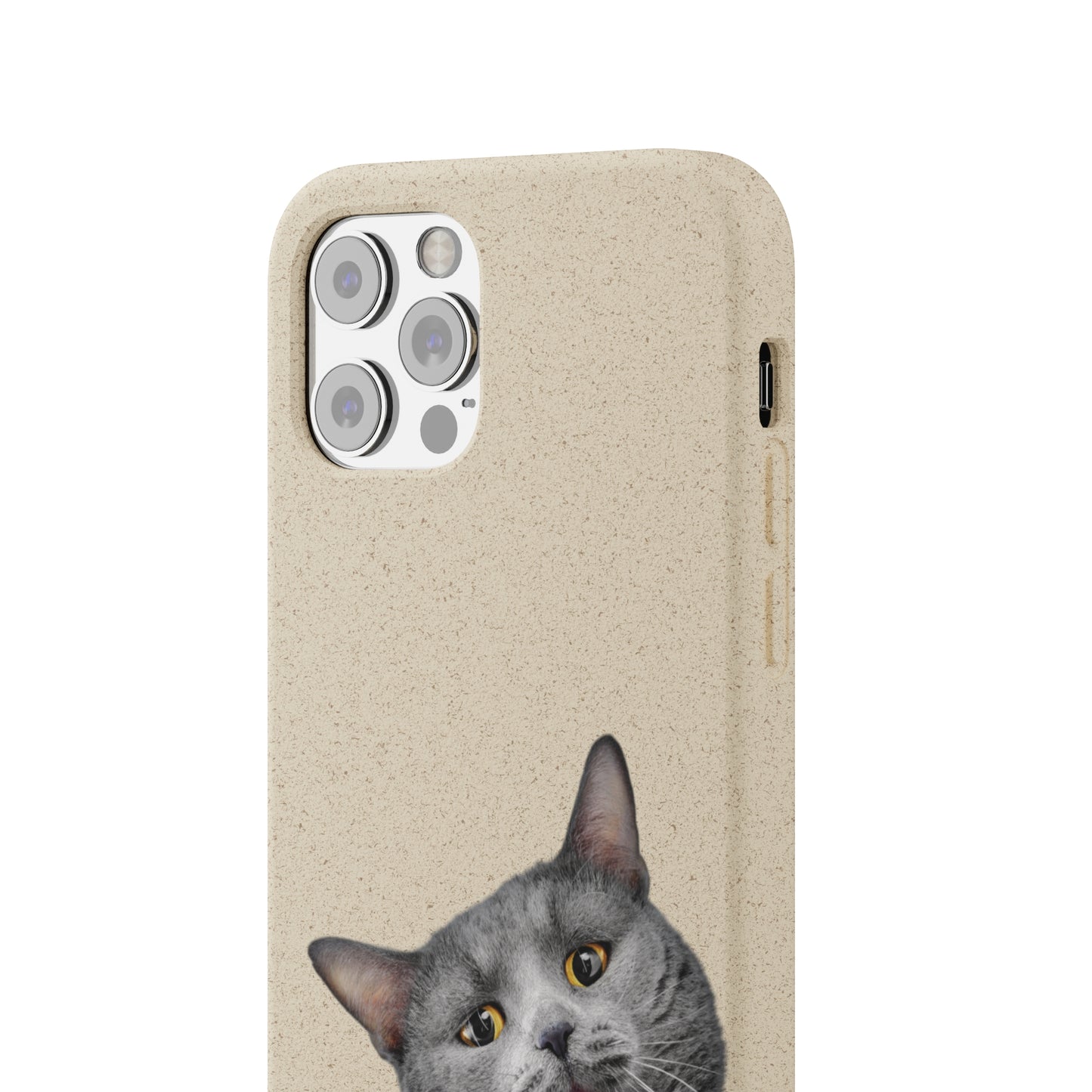 Biodegradable Cat Lover Phone Case – Eco-Friendly, Wireless Charging, Plant-Based Materials | Multiple Sizes Available