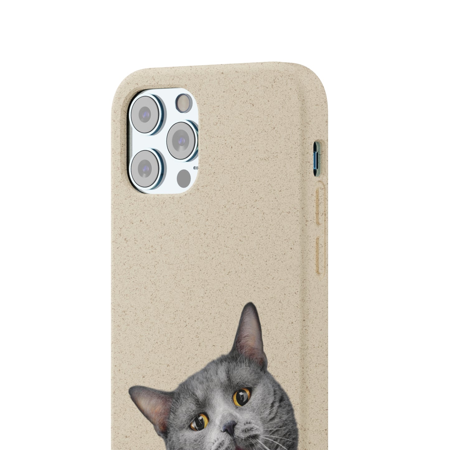 Biodegradable Cat Lover Phone Case – Eco-Friendly, Wireless Charging, Plant-Based Materials | Multiple Sizes Available